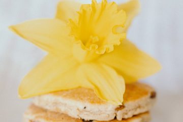 Traditional Welsh Cakes with a Daffodil Flower on Top