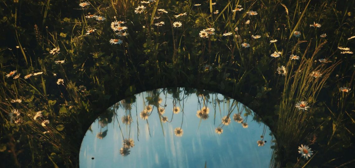 Round mirror on a field of daisies